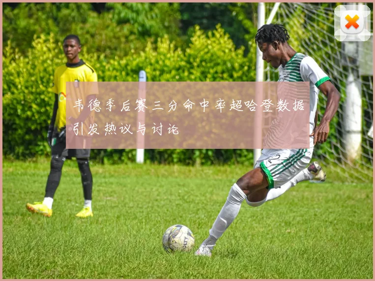 韦德季后赛三分命中率超哈登数据引发热议与讨论